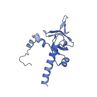 9239_6mtc_Y_v1-1
Rabbit 80S ribosome with Z-site tRNA and IFRD2 (unrotated state)
