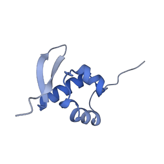 9239_6mtc_ZZ_v1-1
Rabbit 80S ribosome with Z-site tRNA and IFRD2 (unrotated state)