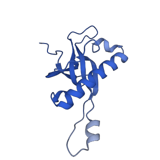 9239_6mtc_Z_v1-1
Rabbit 80S ribosome with Z-site tRNA and IFRD2 (unrotated state)