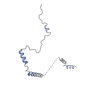 9239_6mtc_b_v1-1
Rabbit 80S ribosome with Z-site tRNA and IFRD2 (unrotated state)