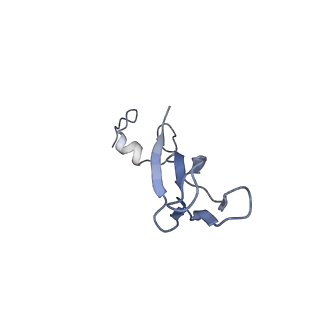 9239_6mtc_bb_v1-1
Rabbit 80S ribosome with Z-site tRNA and IFRD2 (unrotated state)