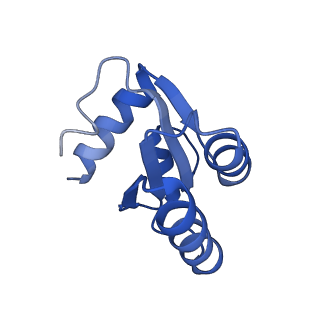 9239_6mtc_c_v1-1
Rabbit 80S ribosome with Z-site tRNA and IFRD2 (unrotated state)