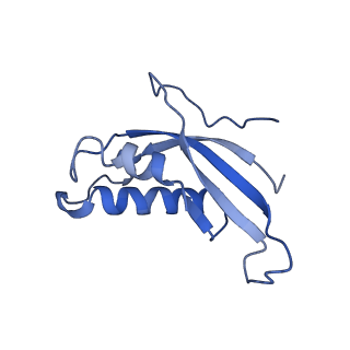 9239_6mtc_d_v1-1
Rabbit 80S ribosome with Z-site tRNA and IFRD2 (unrotated state)