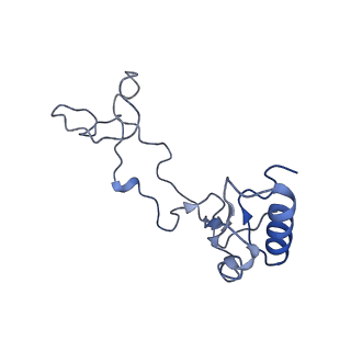 9239_6mtc_e_v1-1
Rabbit 80S ribosome with Z-site tRNA and IFRD2 (unrotated state)