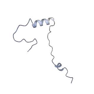 9239_6mtc_ee_v1-1
Rabbit 80S ribosome with Z-site tRNA and IFRD2 (unrotated state)