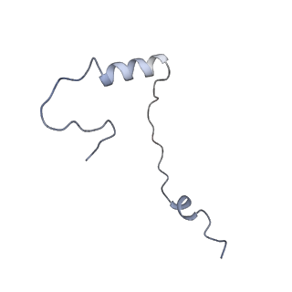 9239_6mtc_ee_v2-0
Rabbit 80S ribosome with Z-site tRNA and IFRD2 (unrotated state)