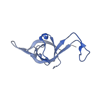 9239_6mtc_f_v1-1
Rabbit 80S ribosome with Z-site tRNA and IFRD2 (unrotated state)