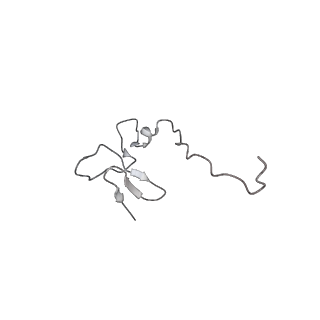 9239_6mtc_ff_v1-1
Rabbit 80S ribosome with Z-site tRNA and IFRD2 (unrotated state)