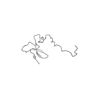 9239_6mtc_ff_v2-0
Rabbit 80S ribosome with Z-site tRNA and IFRD2 (unrotated state)