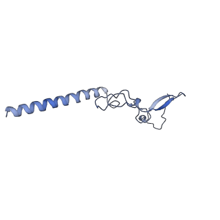 9239_6mtc_g_v1-1
Rabbit 80S ribosome with Z-site tRNA and IFRD2 (unrotated state)