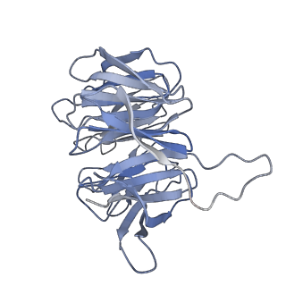 9239_6mtc_gg_v1-1
Rabbit 80S ribosome with Z-site tRNA and IFRD2 (unrotated state)