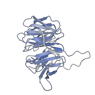 9239_6mtc_gg_v2-0
Rabbit 80S ribosome with Z-site tRNA and IFRD2 (unrotated state)