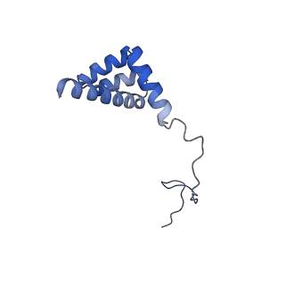 9239_6mtc_i_v1-1
Rabbit 80S ribosome with Z-site tRNA and IFRD2 (unrotated state)