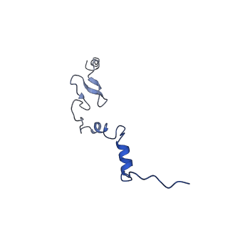9239_6mtc_j_v1-1
Rabbit 80S ribosome with Z-site tRNA and IFRD2 (unrotated state)