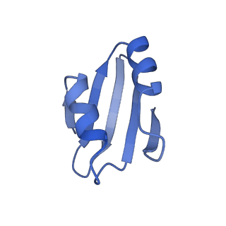 9239_6mtc_k_v1-1
Rabbit 80S ribosome with Z-site tRNA and IFRD2 (unrotated state)