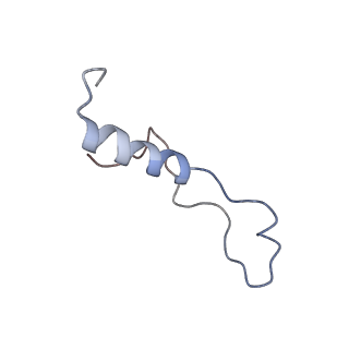 9239_6mtc_l_v1-1
Rabbit 80S ribosome with Z-site tRNA and IFRD2 (unrotated state)