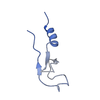 9239_6mtc_m_v1-1
Rabbit 80S ribosome with Z-site tRNA and IFRD2 (unrotated state)
