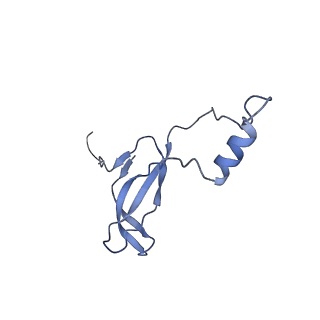 9239_6mtc_o_v1-1
Rabbit 80S ribosome with Z-site tRNA and IFRD2 (unrotated state)
