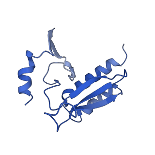 9239_6mtc_r_v1-1
Rabbit 80S ribosome with Z-site tRNA and IFRD2 (unrotated state)
