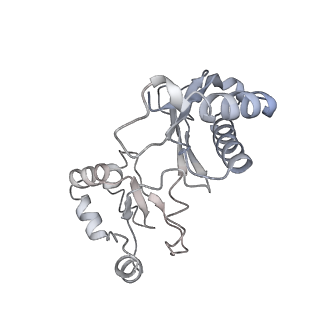 9239_6mtc_u_v1-1
Rabbit 80S ribosome with Z-site tRNA and IFRD2 (unrotated state)