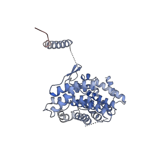 9239_6mtc_v_v1-1
Rabbit 80S ribosome with Z-site tRNA and IFRD2 (unrotated state)