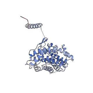 9239_6mtc_v_v2-0
Rabbit 80S ribosome with Z-site tRNA and IFRD2 (unrotated state)