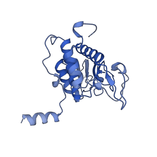 9240_6mtd_AA_v1-0
Rabbit 80S ribosome with eEF2 and SERBP1 (unrotated state with 40S head swivel)