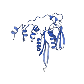 9240_6mtd_CC_v1-0
Rabbit 80S ribosome with eEF2 and SERBP1 (unrotated state with 40S head swivel)
