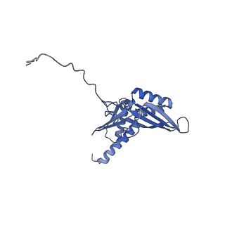 9240_6mtd_DD_v1-0
Rabbit 80S ribosome with eEF2 and SERBP1 (unrotated state with 40S head swivel)