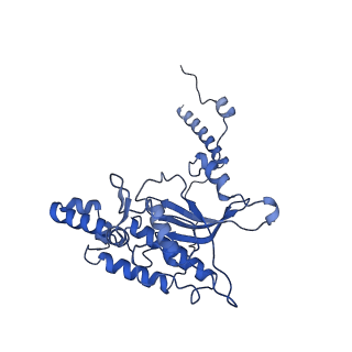 9240_6mtd_D_v1-0
Rabbit 80S ribosome with eEF2 and SERBP1 (unrotated state with 40S head swivel)