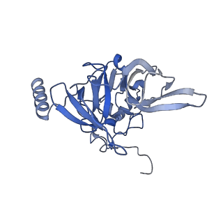 9240_6mtd_EE_v1-0
Rabbit 80S ribosome with eEF2 and SERBP1 (unrotated state with 40S head swivel)