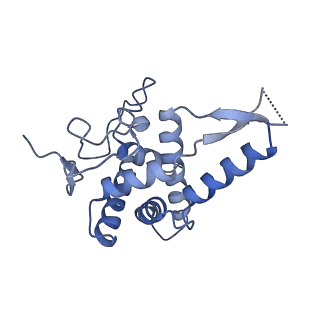 9240_6mtd_FF_v1-0
Rabbit 80S ribosome with eEF2 and SERBP1 (unrotated state with 40S head swivel)