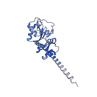 9240_6mtd_F_v1-0
Rabbit 80S ribosome with eEF2 and SERBP1 (unrotated state with 40S head swivel)