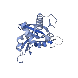 9240_6mtd_HH_v1-0
Rabbit 80S ribosome with eEF2 and SERBP1 (unrotated state with 40S head swivel)