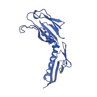 9240_6mtd_H_v1-0
Rabbit 80S ribosome with eEF2 and SERBP1 (unrotated state with 40S head swivel)