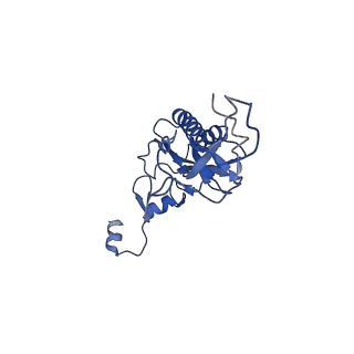 9240_6mtd_I_v1-0
Rabbit 80S ribosome with eEF2 and SERBP1 (unrotated state with 40S head swivel)
