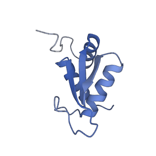 9240_6mtd_KK_v1-0
Rabbit 80S ribosome with eEF2 and SERBP1 (unrotated state with 40S head swivel)