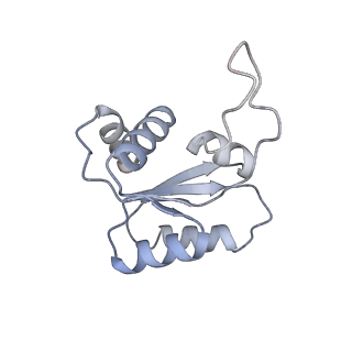 9240_6mtd_MM_v1-0
Rabbit 80S ribosome with eEF2 and SERBP1 (unrotated state with 40S head swivel)