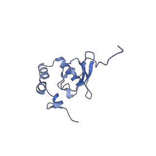 9240_6mtd_PP_v1-0
Rabbit 80S ribosome with eEF2 and SERBP1 (unrotated state with 40S head swivel)