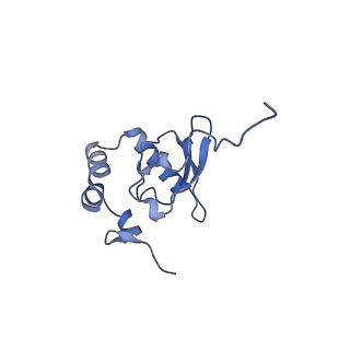 9240_6mtd_PP_v2-0
Rabbit 80S ribosome with eEF2 and SERBP1 (unrotated state with 40S head swivel)