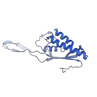 9240_6mtd_P_v1-0
Rabbit 80S ribosome with eEF2 and SERBP1 (unrotated state with 40S head swivel)