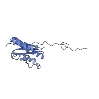 9240_6mtd_QQ_v1-0
Rabbit 80S ribosome with eEF2 and SERBP1 (unrotated state with 40S head swivel)