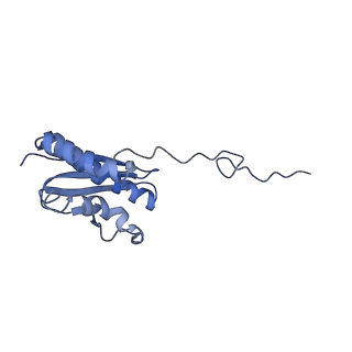 9240_6mtd_QQ_v2-0
Rabbit 80S ribosome with eEF2 and SERBP1 (unrotated state with 40S head swivel)