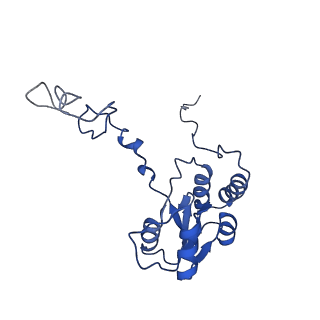 9240_6mtd_Q_v1-0
Rabbit 80S ribosome with eEF2 and SERBP1 (unrotated state with 40S head swivel)