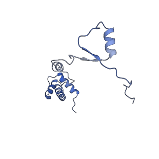 9240_6mtd_RR_v1-0
Rabbit 80S ribosome with eEF2 and SERBP1 (unrotated state with 40S head swivel)