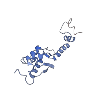 9240_6mtd_SS_v1-0
Rabbit 80S ribosome with eEF2 and SERBP1 (unrotated state with 40S head swivel)