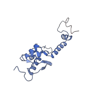 9240_6mtd_SS_v2-0
Rabbit 80S ribosome with eEF2 and SERBP1 (unrotated state with 40S head swivel)