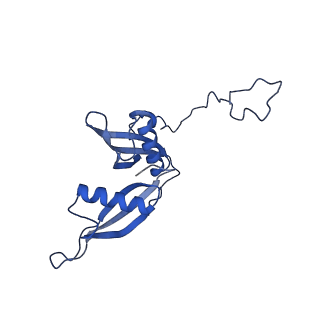 9240_6mtd_S_v1-0
Rabbit 80S ribosome with eEF2 and SERBP1 (unrotated state with 40S head swivel)