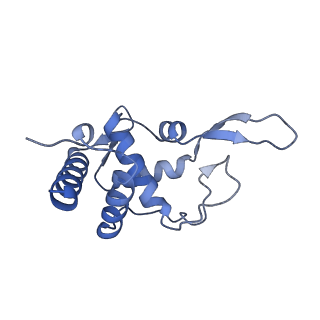 9240_6mtd_TT_v1-0
Rabbit 80S ribosome with eEF2 and SERBP1 (unrotated state with 40S head swivel)