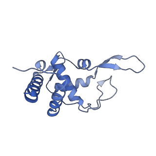 9240_6mtd_TT_v2-0
Rabbit 80S ribosome with eEF2 and SERBP1 (unrotated state with 40S head swivel)